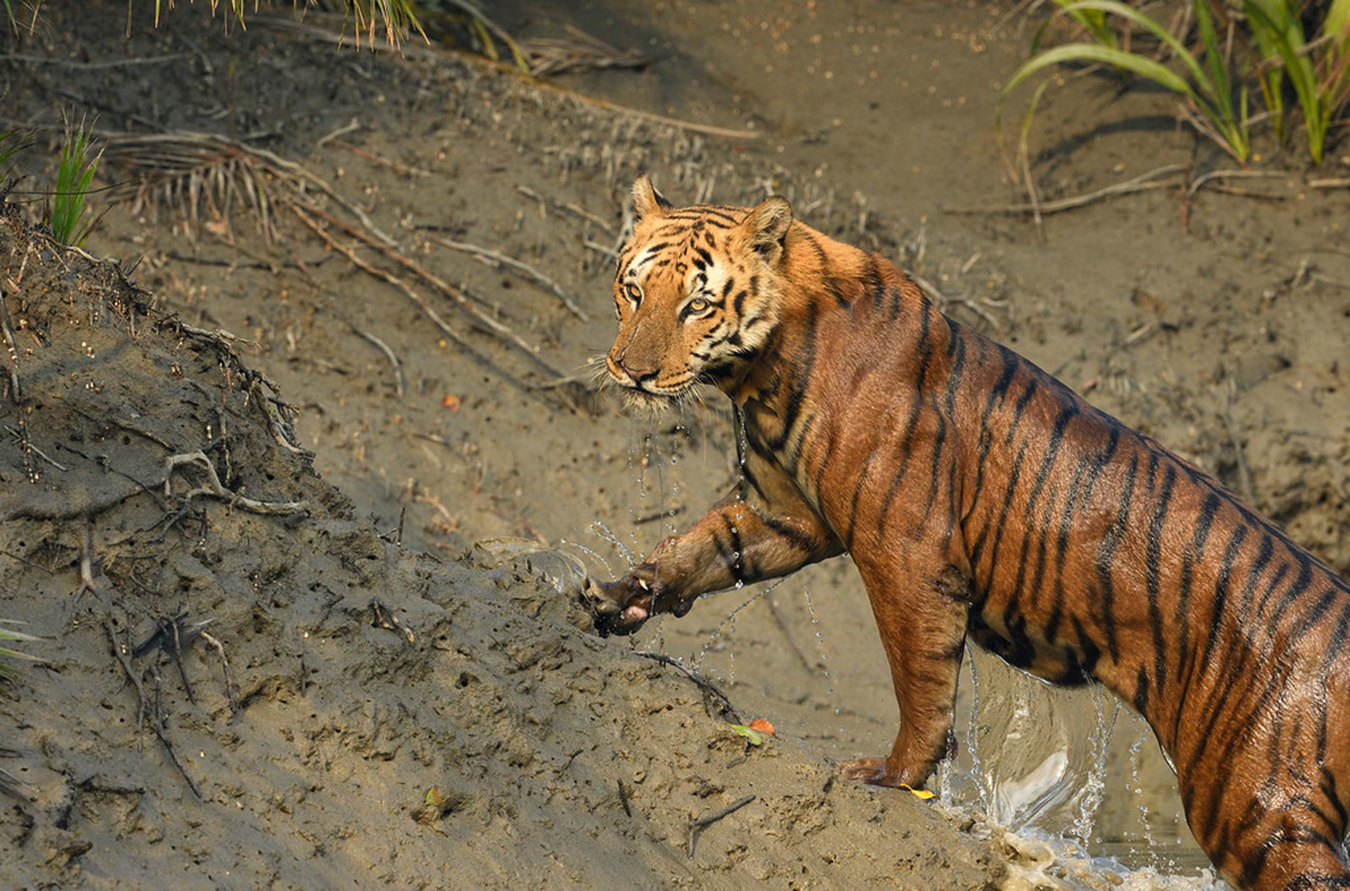 Andharmanik Ecotourism Center
